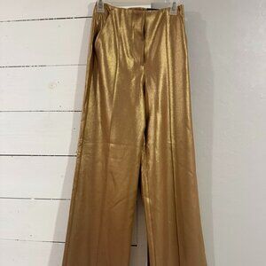 NWT Express OL Pants